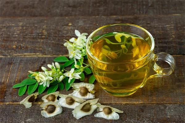 蜂香薄荷の育て方と失敗しないコツ5つのステップ