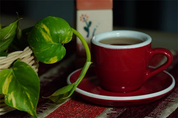 Write a Garden Book: Start with What You Know